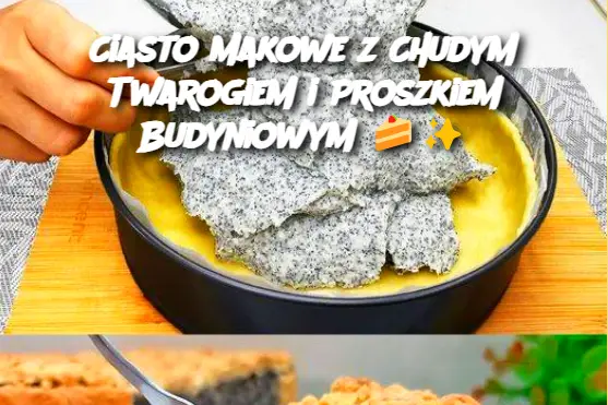 Ciasto Makowe z Chudym Twarogiem i Proszkiem Budyniowym