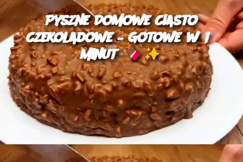 Pyszne Domowe Ciasto Czekoladowe – Gotowe w 15 Minut