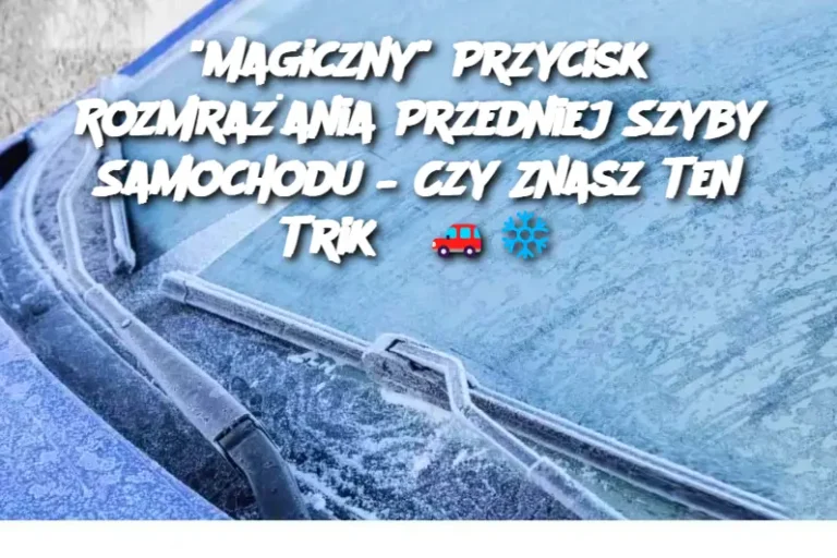 "Magiczny" Przycisk Rozmrażania Przedniej Szyby Samochodu – Czy Znasz Ten Trik?