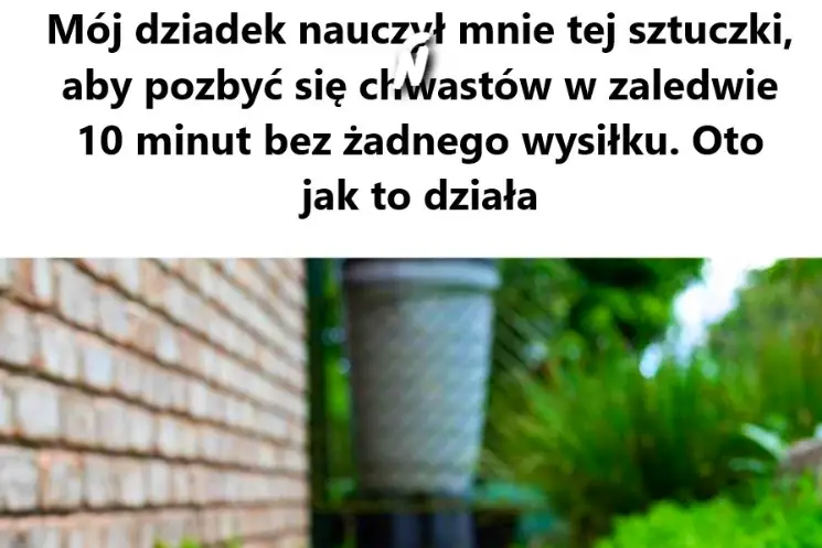 Niezwykła Tajemnica, Którą Powinno Poznać Każde Kuchenne Serce – Klucz do Perfekcyjnych Dań!