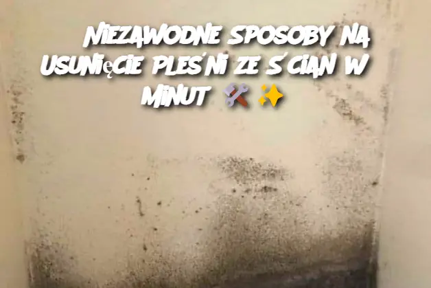 3 Niezawodne Sposoby na Usunięcie Pleśni ze Ścian w 5 Minut