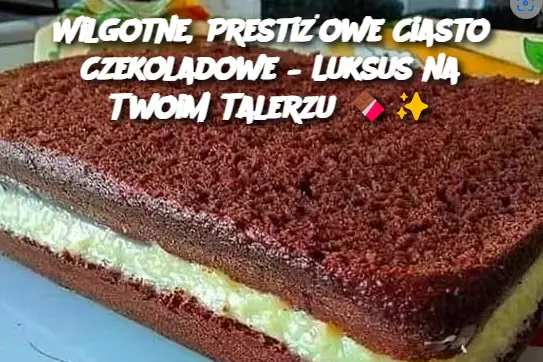 Wilgotne, Prestiżowe Ciasto Czekoladowe – Luksus na Twoim Talerzu