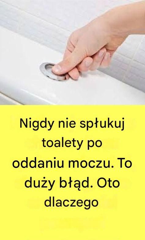 Dlaczego Niezwykle Ważne Jest, by Nie Spłukiwać Toalety Po Każdym Oddaniu Mocz?