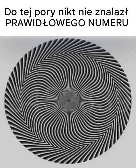 Zaskakująca Iluzja Optyczna: Odkryj Ukrytą Liczbę – Każdy Zobaczy Coś Innego!