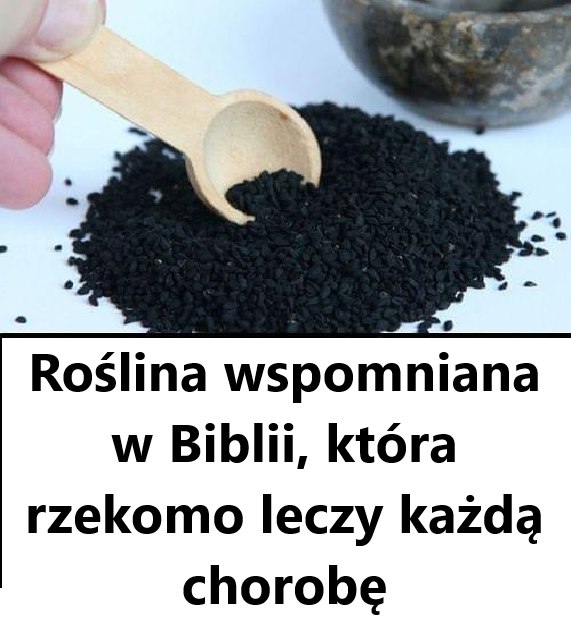 Biblijne Zioło: Od Starożytnych Tradycji do Nowoczesnej Medycyny – Przepis na Zdrowie