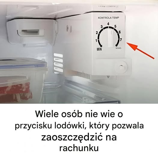 Jak mały przycisk w lodówce może pomóc Ci zaoszczędzić na rachunkach za prąd