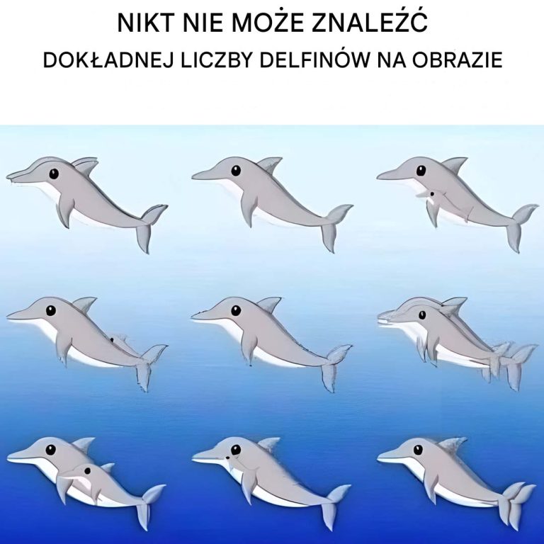 Ile delfinów widzisz na obrazku?