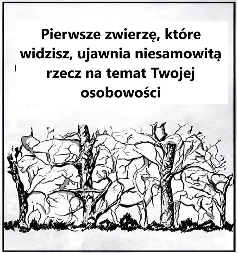 Pierwsze zwierzę, które zobaczysz, ujawni pewne informacje na temat Twojej osobowości