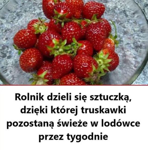 Jak przedłużyć świeżość truskawek? Skuteczne sposoby na dłuższe przechowywanie owoców