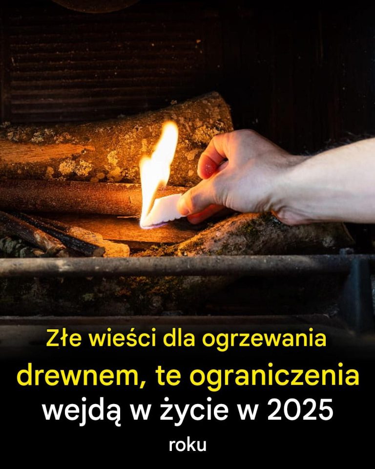 Ogrzewanie drewnem: zmiany w 2025 roku
