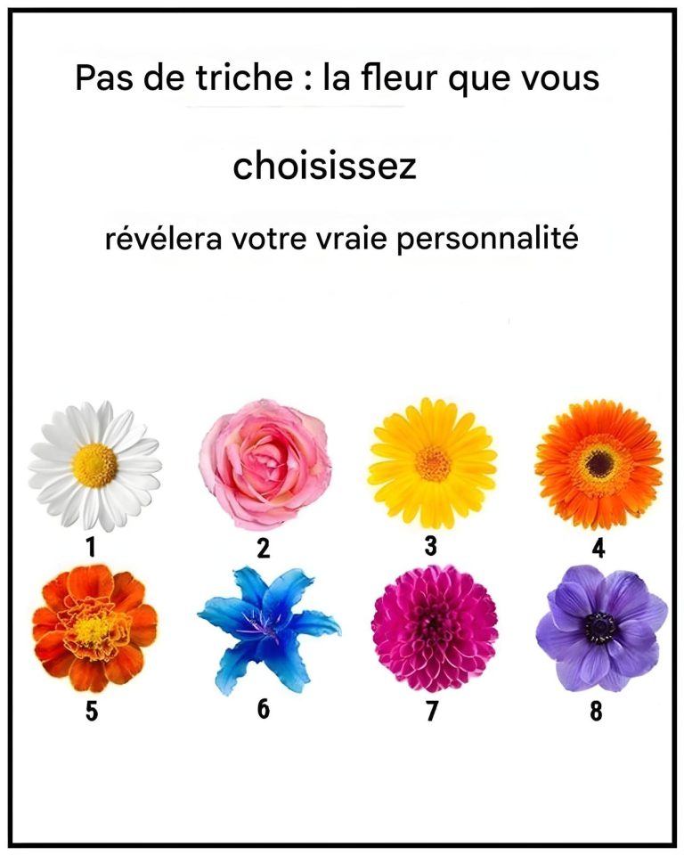 Pas de bavardage. La fleur que vous cueillez révélera votre véritable trait de caractère