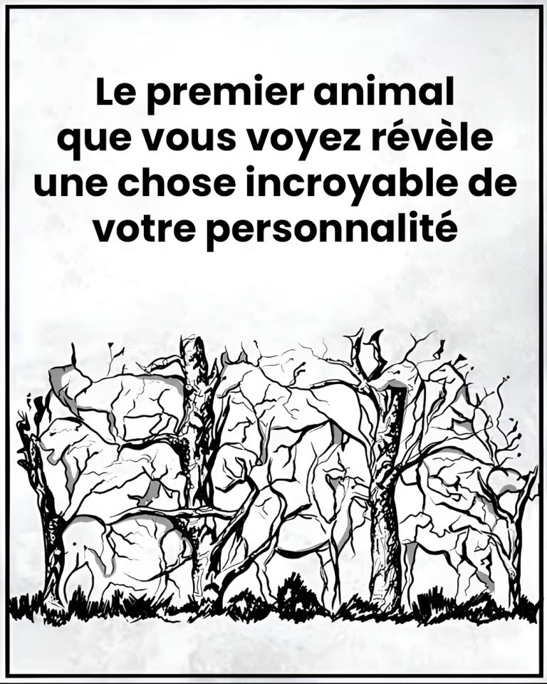 Le premier animal que vous verrez révélera des choses sur votre personnalité