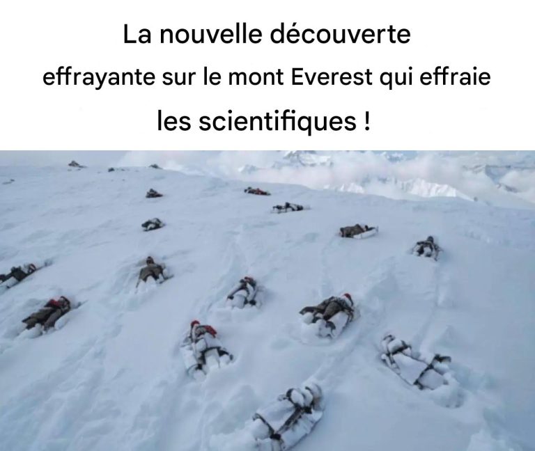 La nouvelle découverte terrifiante sur le mont Everest qui effraie les scientifiques !