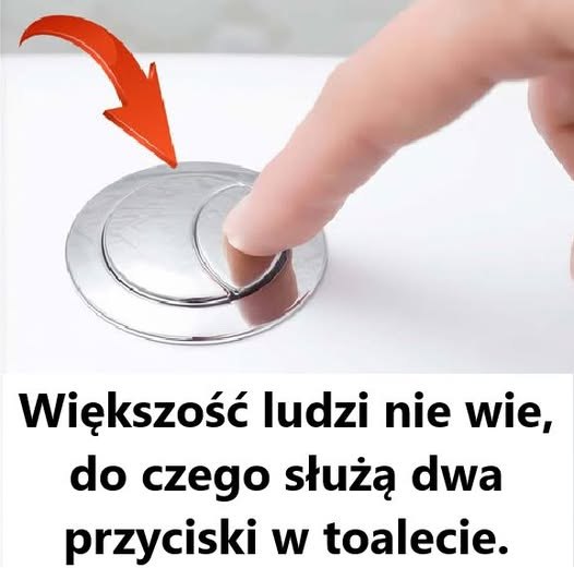 Do czego służą dwa przyciski toaletowe