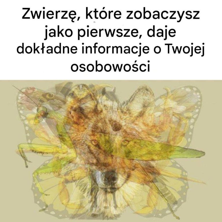 Zwierzę, które zobaczysz jako pierwsze, daje dokładne informacje o Twojej osobowości