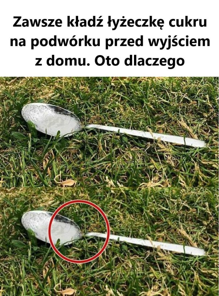 ZawszDlaczego Zawsze Kłaść Łyżeczkę Cukru na Podwórku Przed Wyjściem z Domu? Sekret, Który Zmieni Twoje Życie!