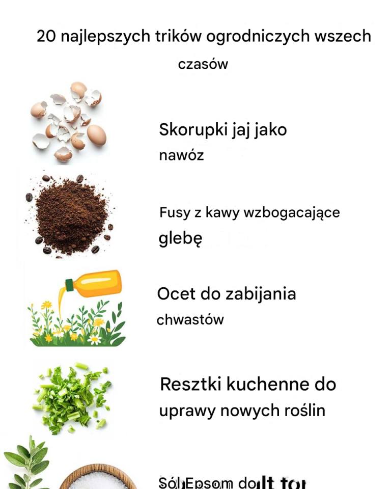 20 najlepszych trików ogrodniczych wszech czasów