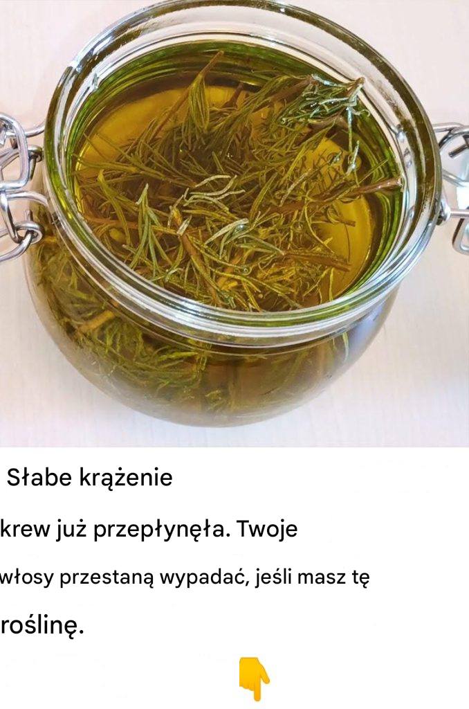 Słabe krążenie to już przeszłość. Twoje włosy przestaną wypadać, jeśli zjesz tę roślinę.
