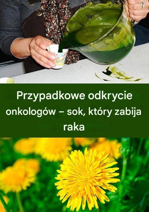 Korzeń mniszka lekarskiego: skuteczniejszy niż chemioterapia PEŁNE INSTRUKCJE W PIERWSZYM KOMENTARZU