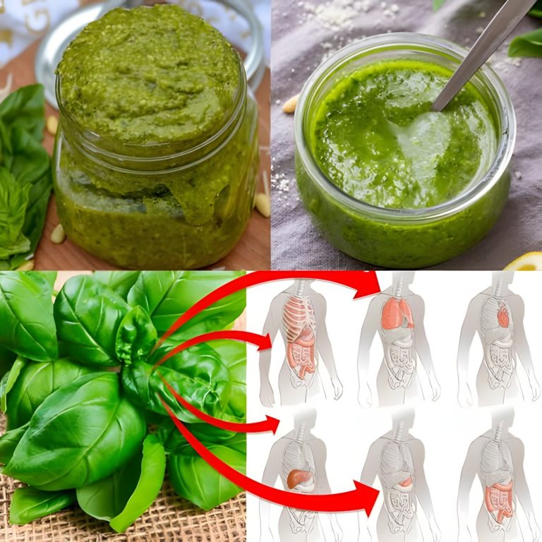 10 niesamowitych korzyści zdrowotnych bazylii, które powinieneś znać 🌿✨