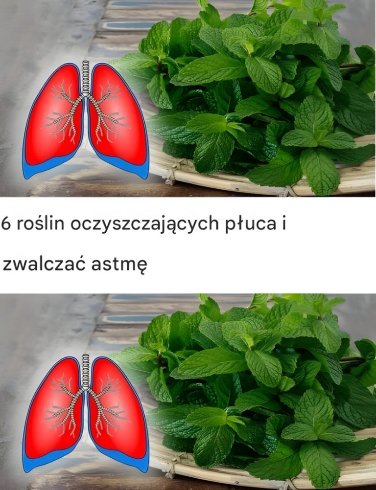 6 roślin umiera na długi czas i żyje dłużej