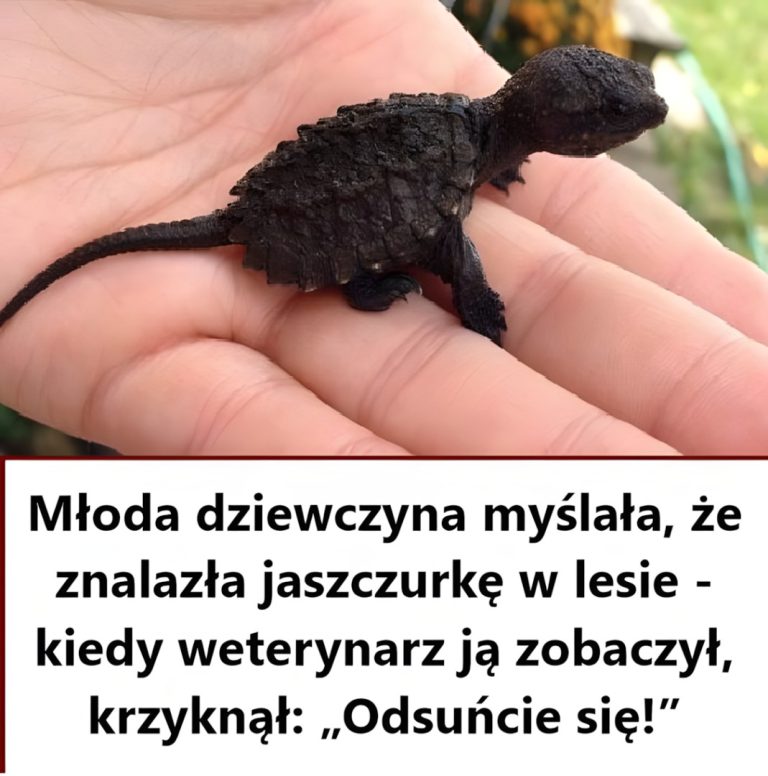Młoda dziewczyna myślała, że ​​znalazła jaszczurkę – kiedy weterynarz to zobaczył, nie mógł uwierzyć własnym oczom